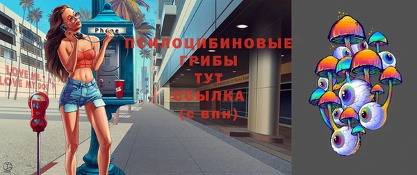 МДПВ Волосово